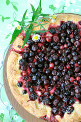 currant pie