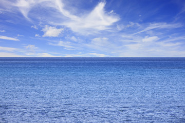 Fototapeta premium 屋久島の海