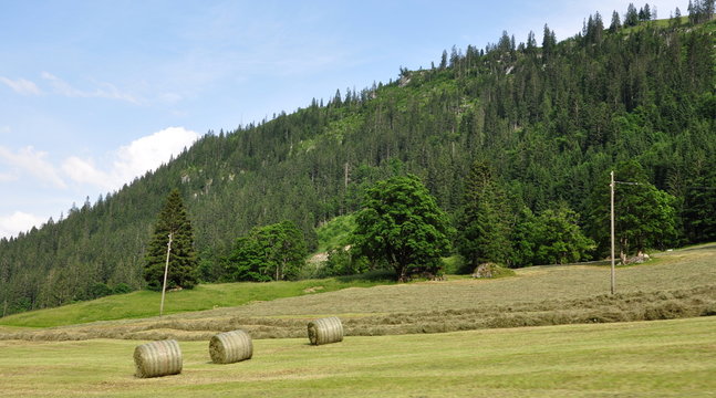 bottelage de foin