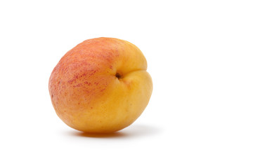 One whole single apricot