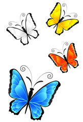 Bunte Schmetterlinge (mit Clippfad)