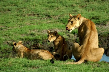 Botswana