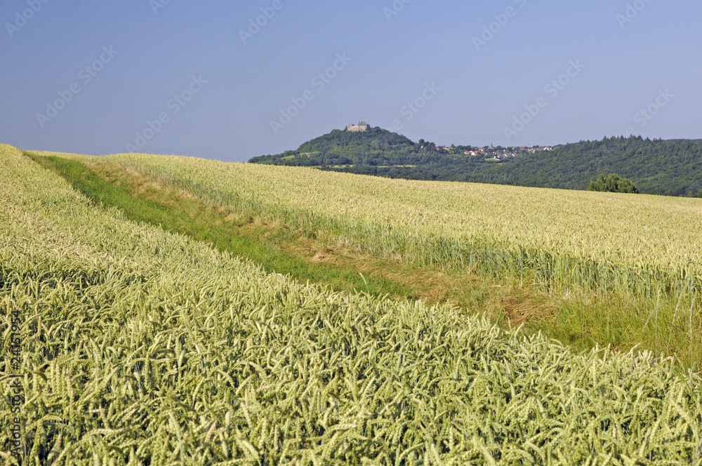 Poster Weizenfeld am Otzberg