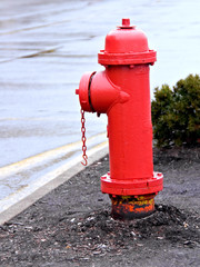 Fototapeta na wymiar Red Hydrant