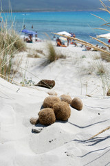 beach - Portopino - Sardegna