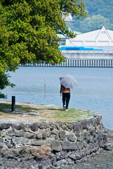 A woman carrying a parasol walks near the seaside