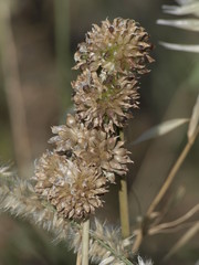 Jardines del Alcazar de Segovia