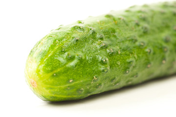 fresh green cucumber isolated on white with water drops