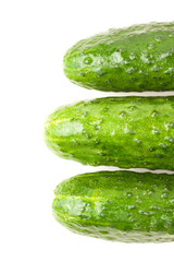 three fresh green cucumbers isolated on white with water drops