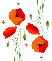 Obraz premium Red poppies back