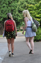 Students walking in front of school