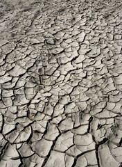 dry cracked earth