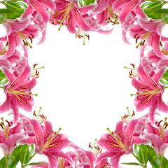Frame of pink lilies