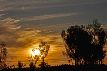 Abwaschbare Fototapete AUS-Sonnenuntergang2 © wolfganguphaus