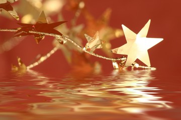 Weihnachtsstern geht baden