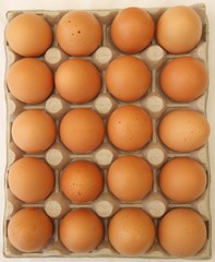 20 eggs