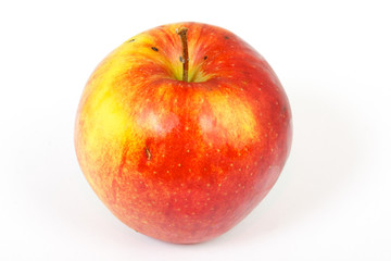 red apple on white background