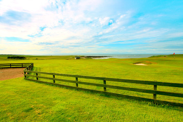 Fototapeta na wymiar Golf course in the fields