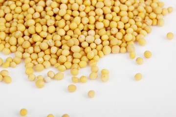 Mustard seeds isolated on white