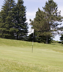 Obraz premium wHITE gOLF fLAG