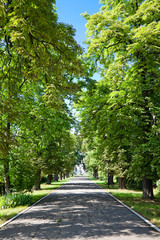 Alley to Ghica Palace