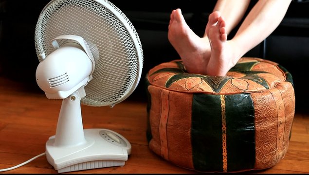 canicule