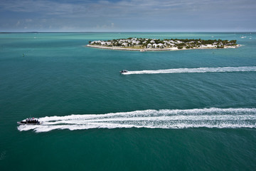 Naklejka premium miami