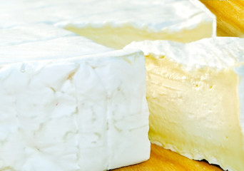 camembert