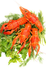 Lobsters on a parsley