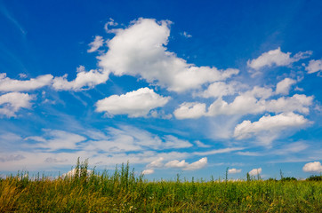 Fototapeta na wymiar Field and beautiful cloud