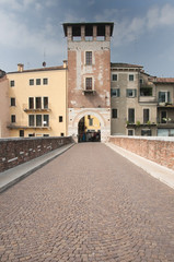 Fototapeta na wymiar Antica torre in Verona