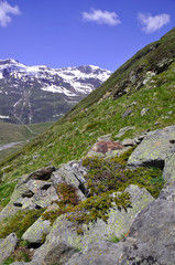 Gampleskogel - Ötztal - Österreich