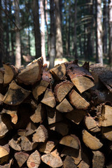 Ceppi di legno
