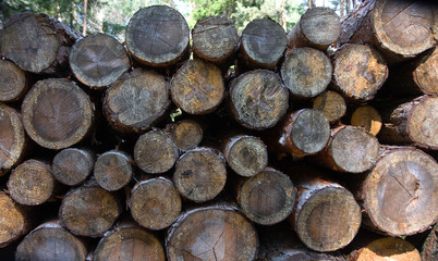 Legname accatastato