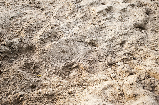 backwashed sand of horse manege close-up