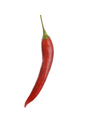 Chili Peperoni Schote Chilischote Chilie