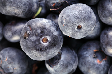 closeup of blueberries fruit showing imperfections on skin
