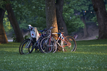 Fototapeta premium Bycicle
