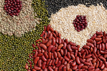 Naklejka premium beans, legumes assortment