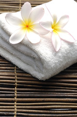 Obraz na płótnie Canvas Białe frangipani na ręcznik w spa
