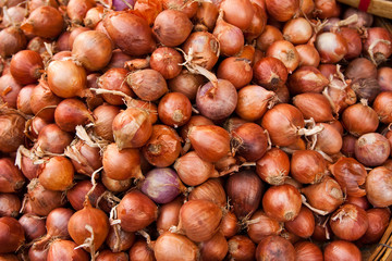 Obraz premium Image of Unions