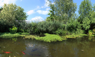 jardin aquatique en panoramique