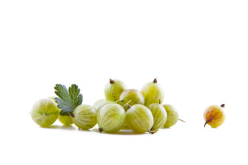 Fresh green gooseberry