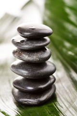 black stones and green leaf