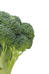 Close up fresh green broccoli