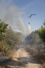 elicottero antincendio