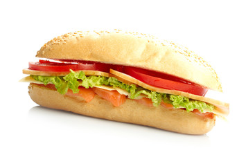 Big sandwich on white plate