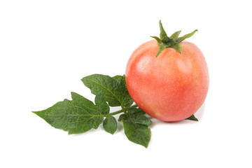 tomato and leaf