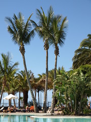 Fototapeta premium Hotel La Geria in Puerto del Carmen auf Lanzarote