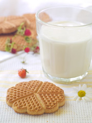 Glass of milk and cookies